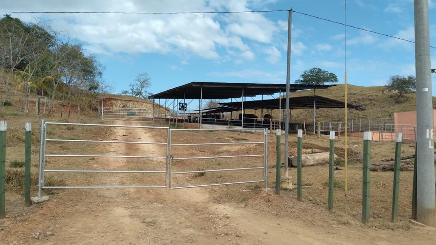 Commercial Property for Sale in Herrera 05001 Herrera 05001
